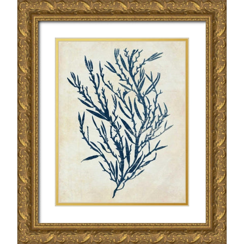Indigo Blue Seaweed 3 b Gold Ornate Wood Framed Art Print with Double Matting by Fab Funky