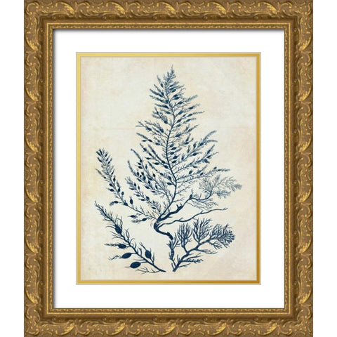 Indigo Blue Seaweed 3 d Gold Ornate Wood Framed Art Print with Double Matting by Fab Funky