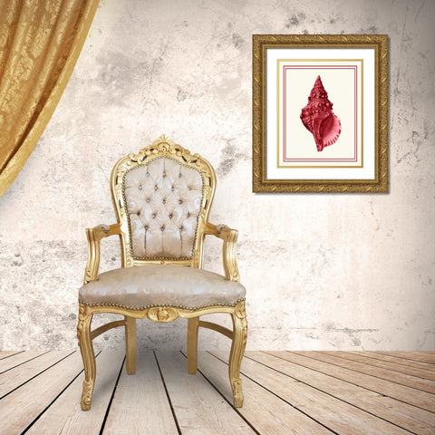 Mixed Nautical Coral on Cream c Gold Ornate Wood Framed Art Print with Double Matting by Fab Funky