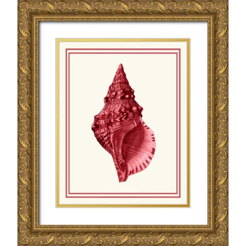 Mixed Nautical Coral on Cream c Gold Ornate Wood Framed Art Print with Double Matting by Fab Funky