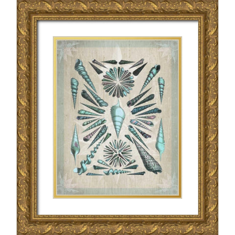 Shell Collection 5 Gold Ornate Wood Framed Art Print with Double Matting by Fab Funky