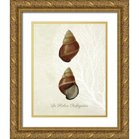 French Shell Print a Gold Ornate Wood Framed Art Print with Double Matting by Fab Funky