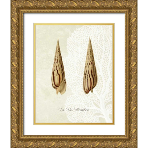French Shell Print b Gold Ornate Wood Framed Art Print with Double Matting by Fab Funky