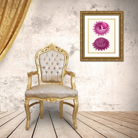 Pink Shells b Gold Ornate Wood Framed Art Print with Double Matting by Fab Funky