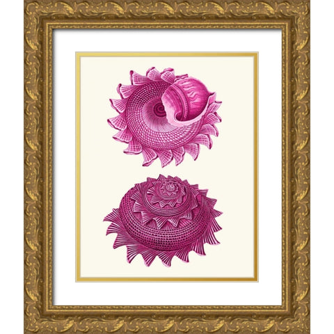 Pink Shells b Gold Ornate Wood Framed Art Print with Double Matting by Fab Funky
