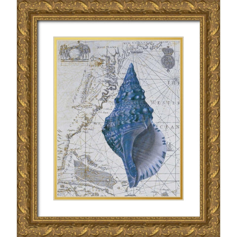 Seashell Collection 1 a Gold Ornate Wood Framed Art Print with Double Matting by Fab Funky