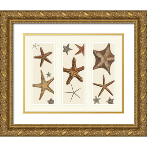 Starfish Print on 3 Panels Gold Ornate Wood Framed Art Print with Double Matting by Fab Funky
