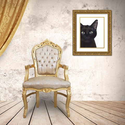 Cat, Portrait of Gus Gold Ornate Wood Framed Art Print with Double Matting by Fab Funky