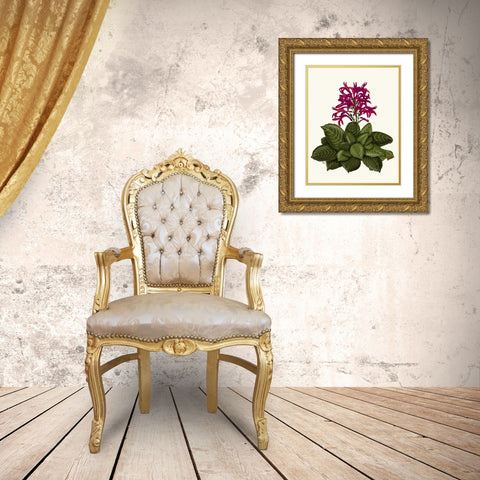 Tropical Flower 1 Gold Ornate Wood Framed Art Print with Double Matting by Fab Funky