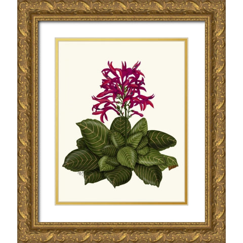 Tropical Flower 1 Gold Ornate Wood Framed Art Print with Double Matting by Fab Funky