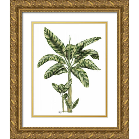 Banana Tree 2 Gold Ornate Wood Framed Art Print with Double Matting by Fab Funky