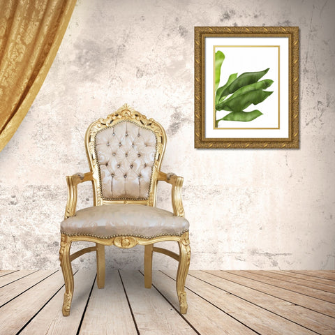 Banana Leaves 1, Green on White Gold Ornate Wood Framed Art Print with Double Matting by Fab Funky