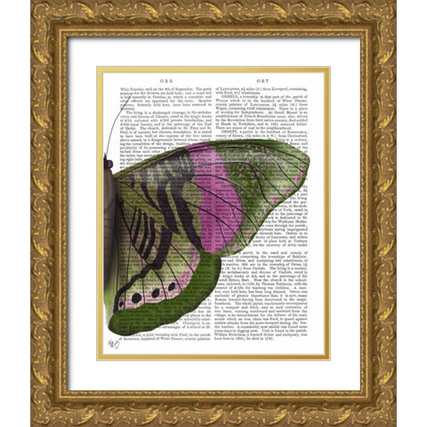 Butterfly in Green and Pink b Gold Ornate Wood Framed Art Print with Double Matting by Fab Funky