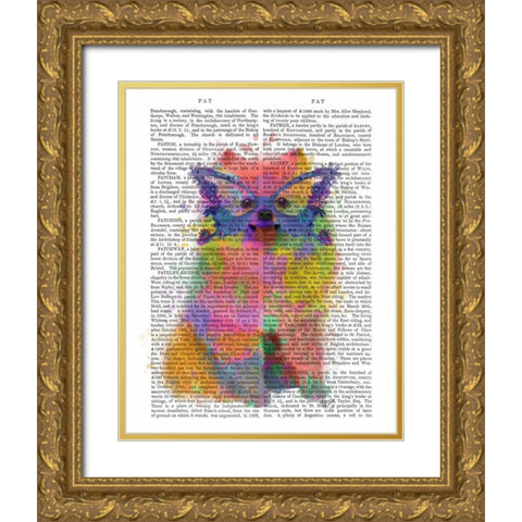 Rainbow Splash Pomeranian Gold Ornate Wood Framed Art Print with Double Matting by Fab Funky