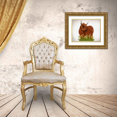 Highland Cow, Daffodil Gold Ornate Wood Framed Art Print with Double Matting by Fab Funky