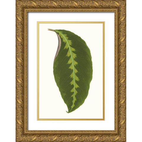 Collected Leaves I Gold Ornate Wood Framed Art Print with Double Matting by Vision Studio