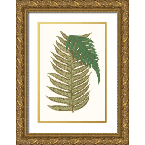 Collected Leaves II Gold Ornate Wood Framed Art Print with Double Matting by Vision Studio