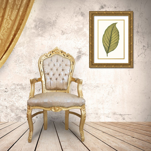 Collected Leaves III Gold Ornate Wood Framed Art Print with Double Matting by Vision Studio