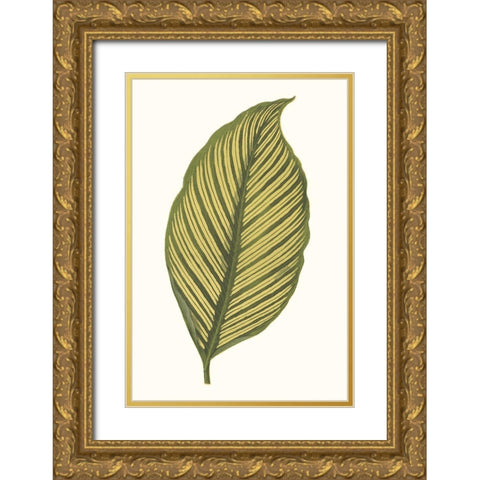Collected Leaves III Gold Ornate Wood Framed Art Print with Double Matting by Vision Studio