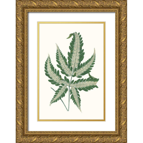 Collected Leaves VI Gold Ornate Wood Framed Art Print with Double Matting by Vision Studio