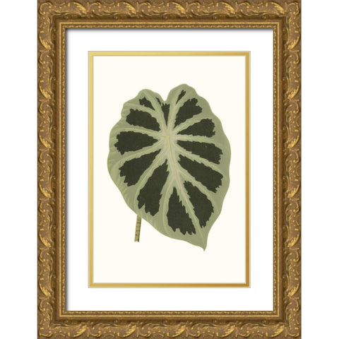 Collected Leaves VII Gold Ornate Wood Framed Art Print with Double Matting by Vision Studio