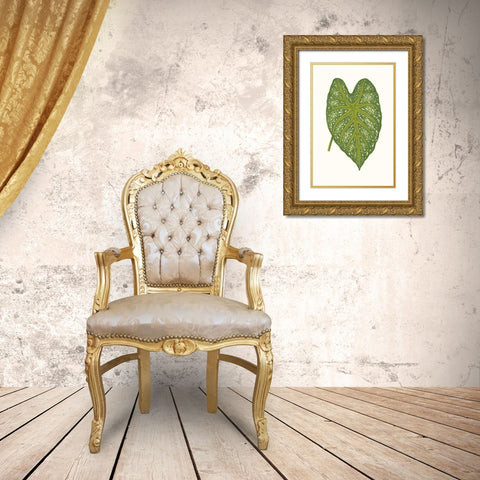 Collected Leaves IX Gold Ornate Wood Framed Art Print with Double Matting by Vision Studio