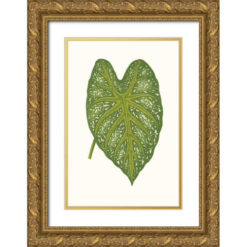 Collected Leaves IX Gold Ornate Wood Framed Art Print with Double Matting by Vision Studio
