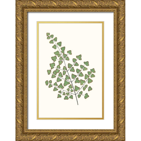 Collected Leaves X Gold Ornate Wood Framed Art Print with Double Matting by Vision Studio