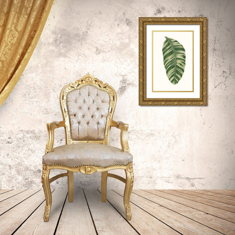 Collected Leaves XI Gold Ornate Wood Framed Art Print with Double Matting by Vision Studio