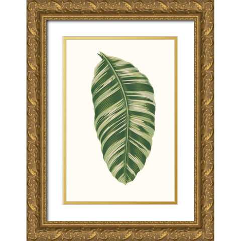 Collected Leaves XI Gold Ornate Wood Framed Art Print with Double Matting by Vision Studio