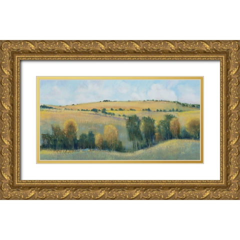 Valley Field I Gold Ornate Wood Framed Art Print with Double Matting by OToole, Tim