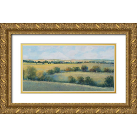 Valley Field II Gold Ornate Wood Framed Art Print with Double Matting by OToole, Tim