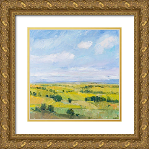 Picturesque View II Gold Ornate Wood Framed Art Print with Double Matting by OToole, Tim