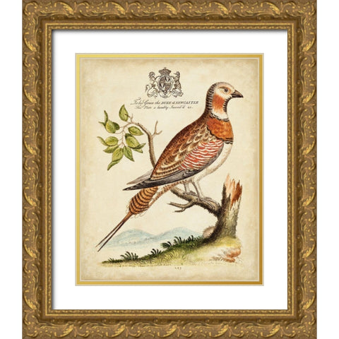 Regal Birds I Gold Ornate Wood Framed Art Print with Double Matting by Edwards, George