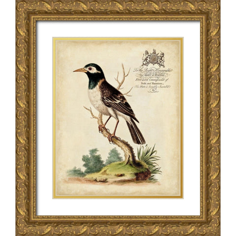 Regal Birds II Gold Ornate Wood Framed Art Print with Double Matting by Edwards, George