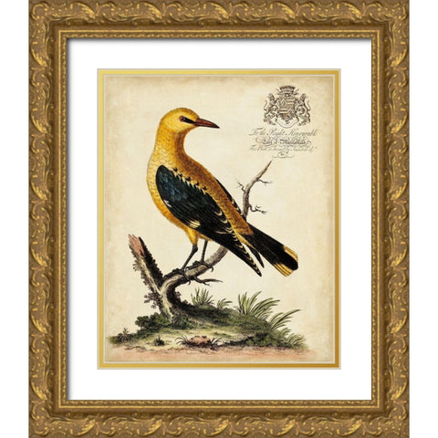 Regal Birds III Gold Ornate Wood Framed Art Print with Double Matting by Edwards, George