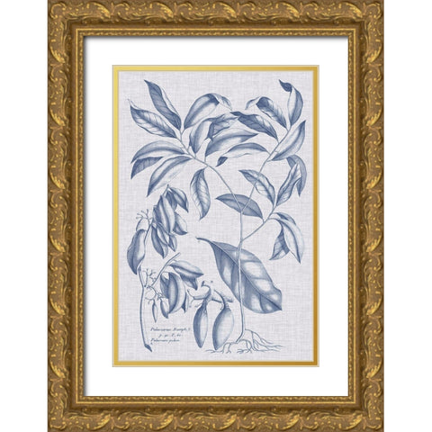 Navy And Linen Botanical I Gold Ornate Wood Framed Art Print with Double Matting by Vision Studio