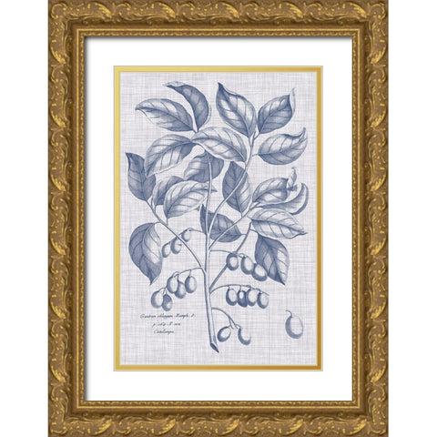 Navy And Linen Botanical II Gold Ornate Wood Framed Art Print with Double Matting by Vision Studio