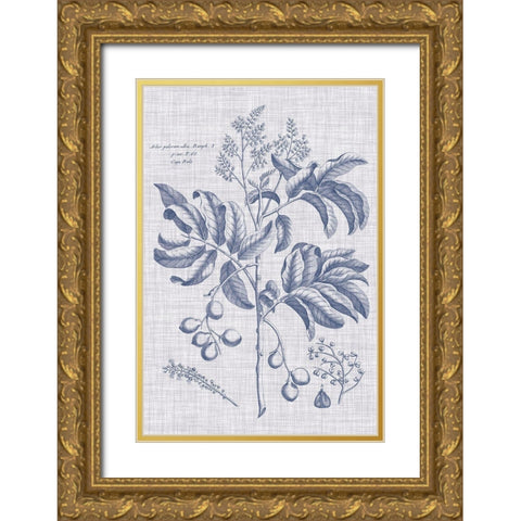Navy And Linen Botanical IV Gold Ornate Wood Framed Art Print with Double Matting by Vision Studio