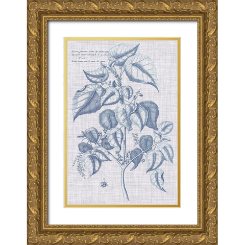 Navy And Linen Botanical VI Gold Ornate Wood Framed Art Print with Double Matting by Vision Studio