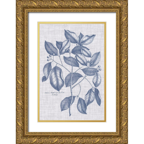 Navy And Linen Botanical VII Gold Ornate Wood Framed Art Print with Double Matting by Vision Studio