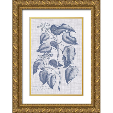 Navy And Linen Botanical VIII Gold Ornate Wood Framed Art Print with Double Matting by Vision Studio