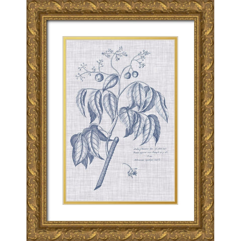 Navy And Linen Botanical IX Gold Ornate Wood Framed Art Print with Double Matting by Vision Studio