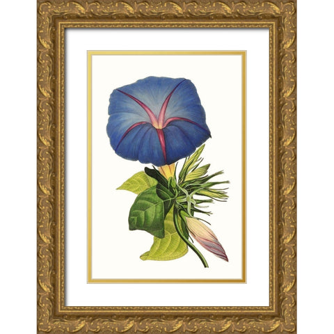 Paxton Florals I Gold Ornate Wood Framed Art Print with Double Matting by Paxton