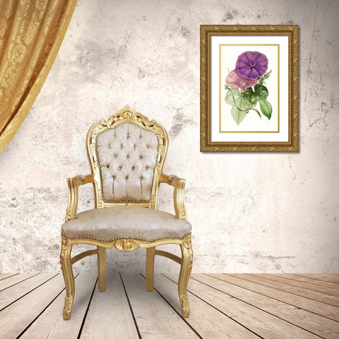 Paxton Florals III Gold Ornate Wood Framed Art Print with Double Matting by Paxton