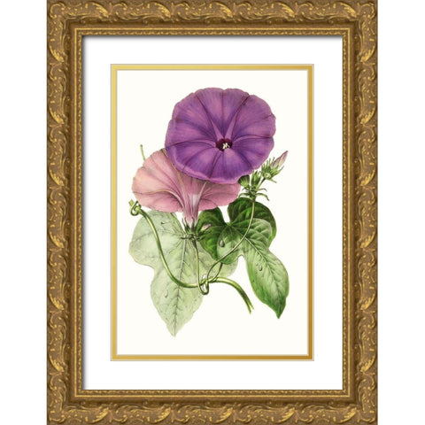 Paxton Florals III Gold Ornate Wood Framed Art Print with Double Matting by Paxton