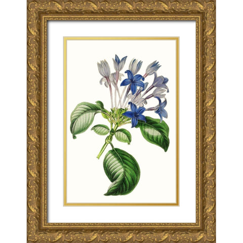 Paxton Florals IV Gold Ornate Wood Framed Art Print with Double Matting by Paxton