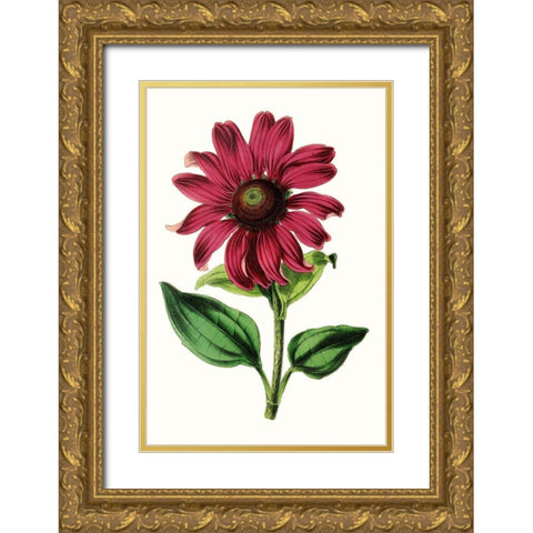 Paxton Florals VI Gold Ornate Wood Framed Art Print with Double Matting by Paxton