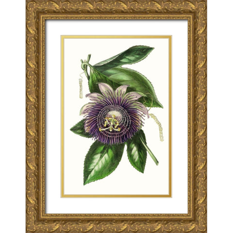 Paxton Florals VII Gold Ornate Wood Framed Art Print with Double Matting by Paxton