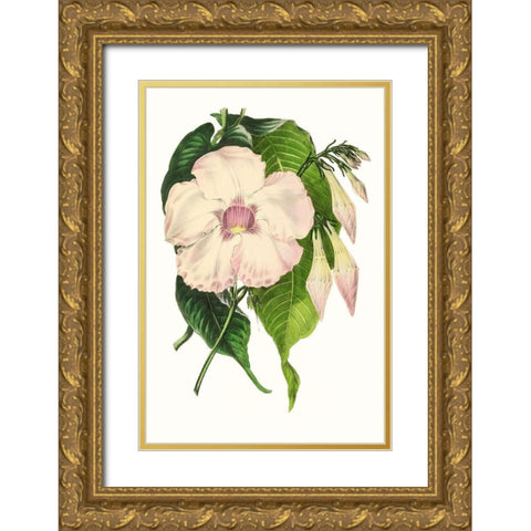 Paxton Florals VIII Gold Ornate Wood Framed Art Print with Double Matting by Paxton